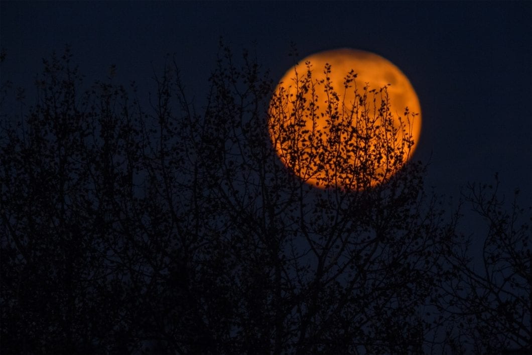 5 Ways to Have a Fabulous Halloween