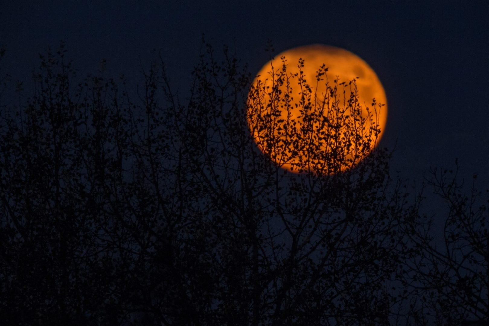 5 Ways to Have a Fabulous Halloween