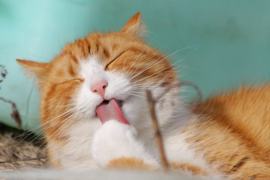The Secret to Happiness? According to Mark Manson, It’s Not Giving a F*ck