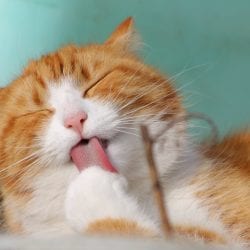 The Secret to Happiness? According to Mark Manson, It’s Not Giving a F*ck
