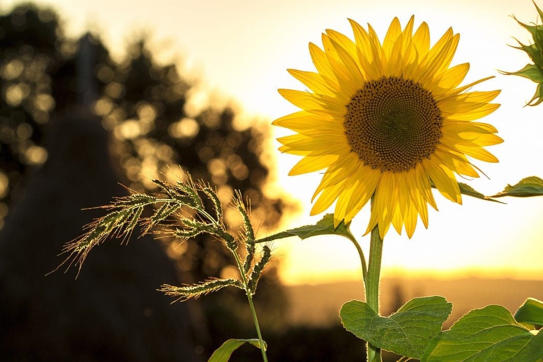 Meet the App Revolutionizing Your Monday Mornings