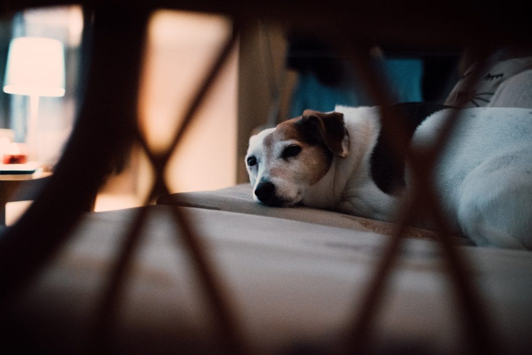 4 Ways to Overcome a Lack of Motivation