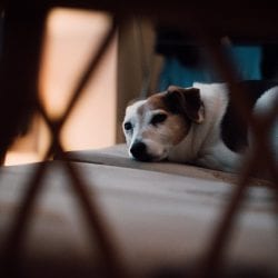 4 Ways to Overcome a Lack of Motivation
