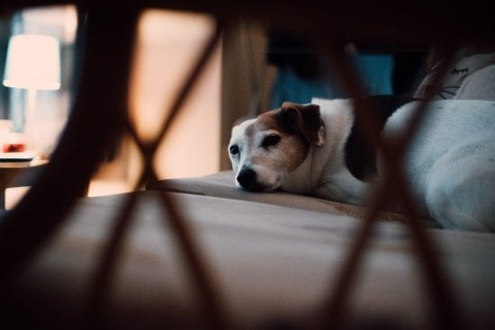 4 Ways to Overcome a Lack of Motivation