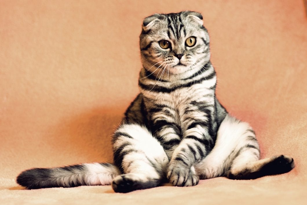 What's the Problem with Sitting Too Much?