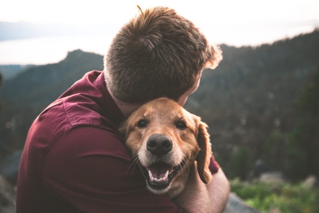 Can Pets Make You Happy?