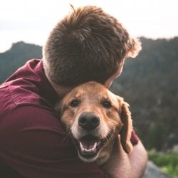 Can Pets Make You Happy?